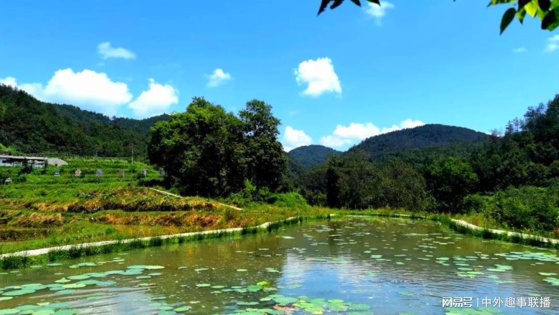 dy业务自助下单平台微信支付：抖音购物微信支付便捷新体验_快手快手自助下单低价